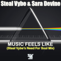 Steal Vybe & Sara Devine - Music feels like