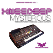 Knee Deep featuring Shena - Mysterious (2011 Remixes)