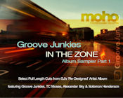 Groove Junkies - In the Zone (Album Sampler Part 1)