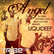 Liquideep - Angel