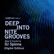 Deep into Nite Grooves Mixed & Selected by DJ Spinna
