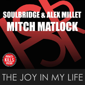 Soulbridge & Alex Millet featuring Mitch Matlock - The joy in my life