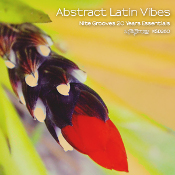 Abstract Latin Vibes (20 Years Essentials)