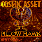 Cosmic Asset - Pillow hawk