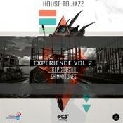 House to Jazz Experience Vol. 2