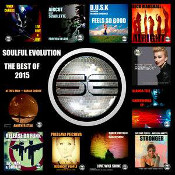 Soulful Evolution - The Best of 2015