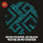 Kelvin Sylvester, Lee Wilson - You're in my system