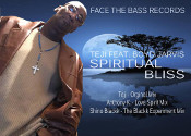 Teji featuring Boyd Jarvis - Spiritual bliss