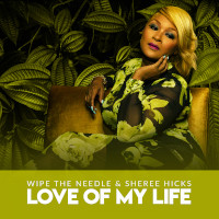 Wipe The Needle & Sheree Hicks - Love of my life