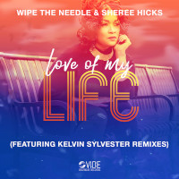 Wipe The Needle & Sheree Hicks - Love of my life (Kelvin Sylvester Remix)