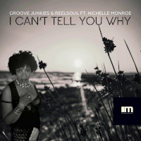 Groove Junkies & ReelSoul featuring Nichelle Monroe - I can't tell you why