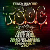 Terry Hunter featuring Common, Mike Dunn, Deon Cole, Chantay Savage, Coldhard, AM7 and Jamie Principle - T.S.O.C.