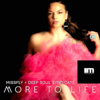 MissFly & Deep Soul Syndicate - More to life