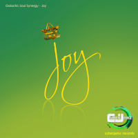 Galactic Soul Synergy - Joy