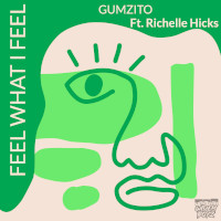 Gumzito featuring Richelle Hicks - Feel what I feel