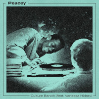 Peacey featuring Vanessa Hidary - Culture bandit