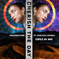 PolyRhythm featuring Sheleah Monea - Cherish the day (Coflo 2024 Remix)