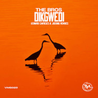 The Bros - Dikgwedi