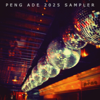 Various - PENG ADE Sampler 2025