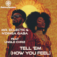 Mr. Eclectic & N'Dinga Gaba featuring Unqle Chriz - Tell 'em (how you feel)
